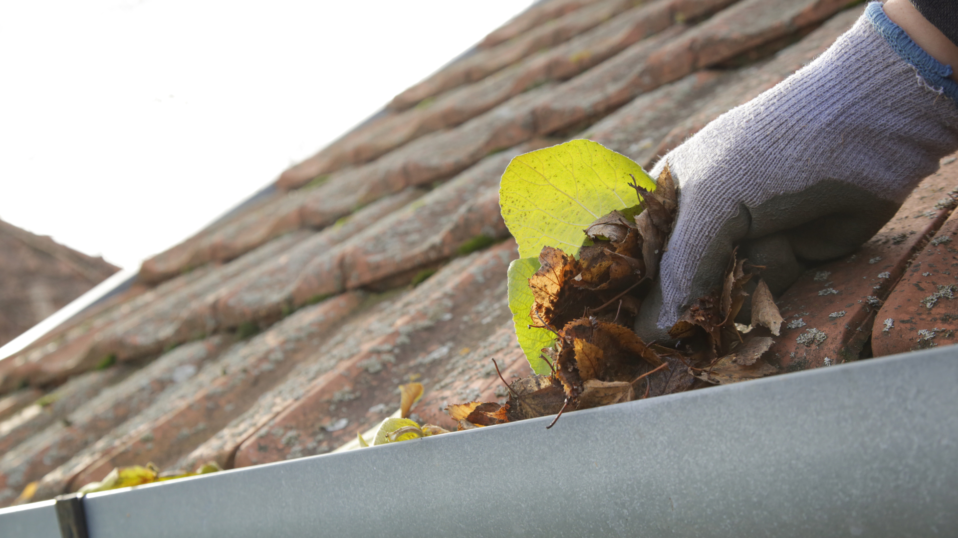 Cleaning Roof Gutter