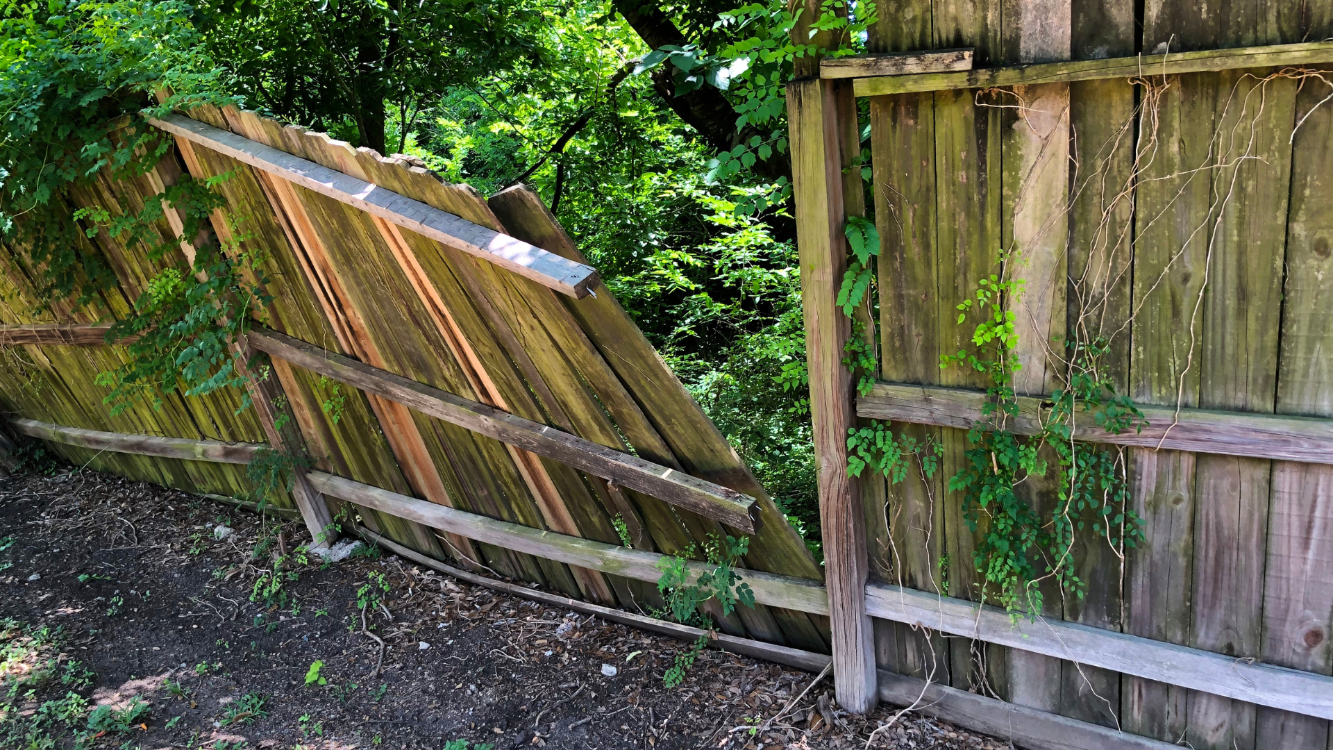 Fence Repair