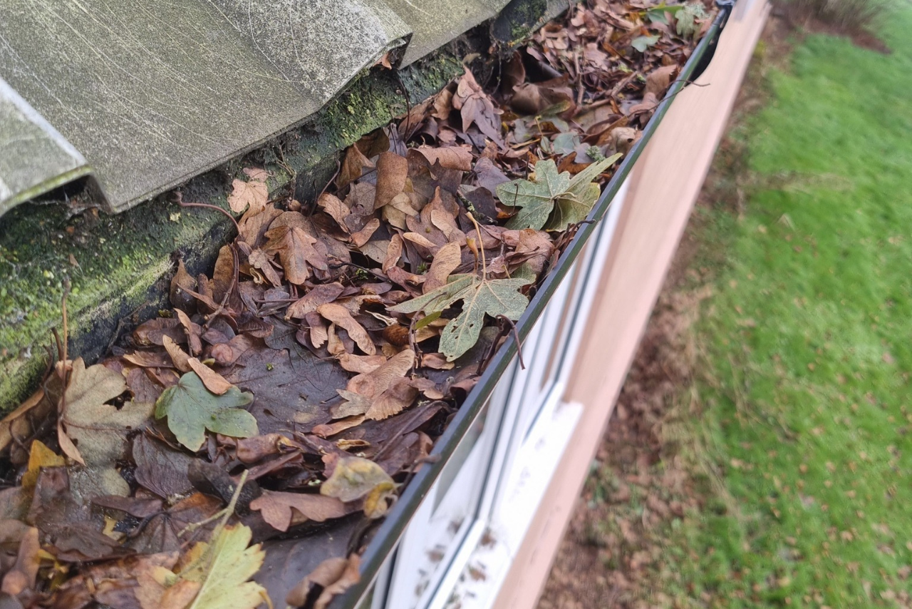 Gutter Cleaning and Repair