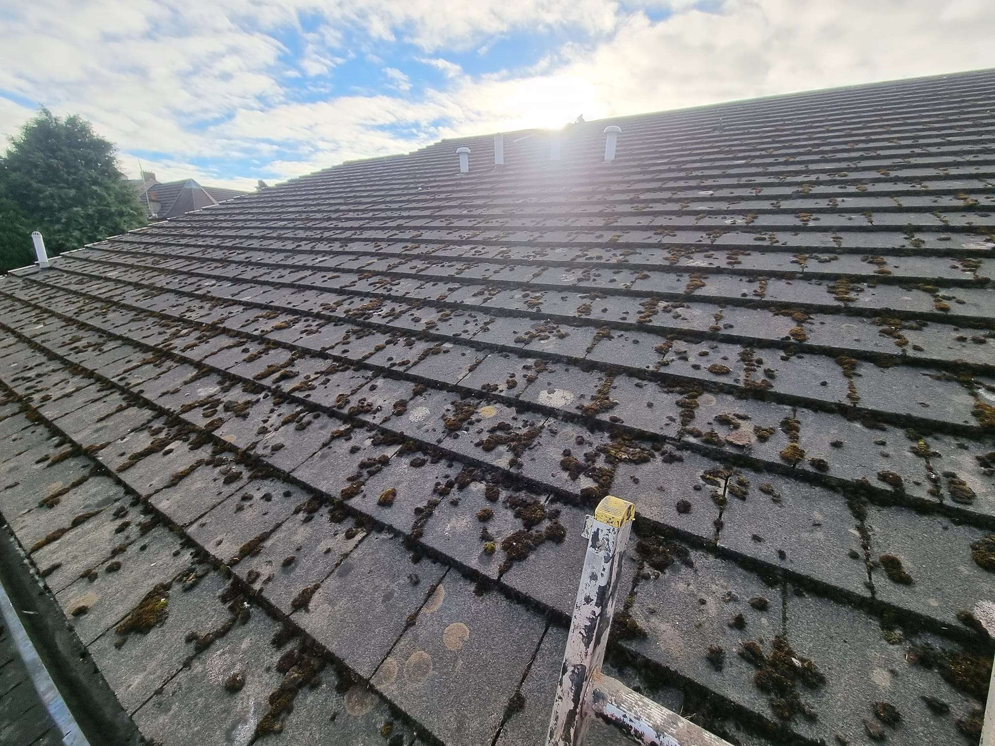 Roof Cleaning & Maintenance